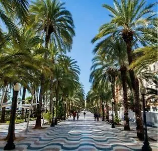Atico Centro Mercado Apartament Alicante